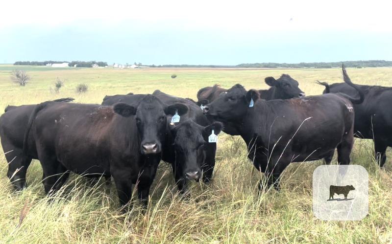 Pasture & Range Conditions as of 9/21/25
