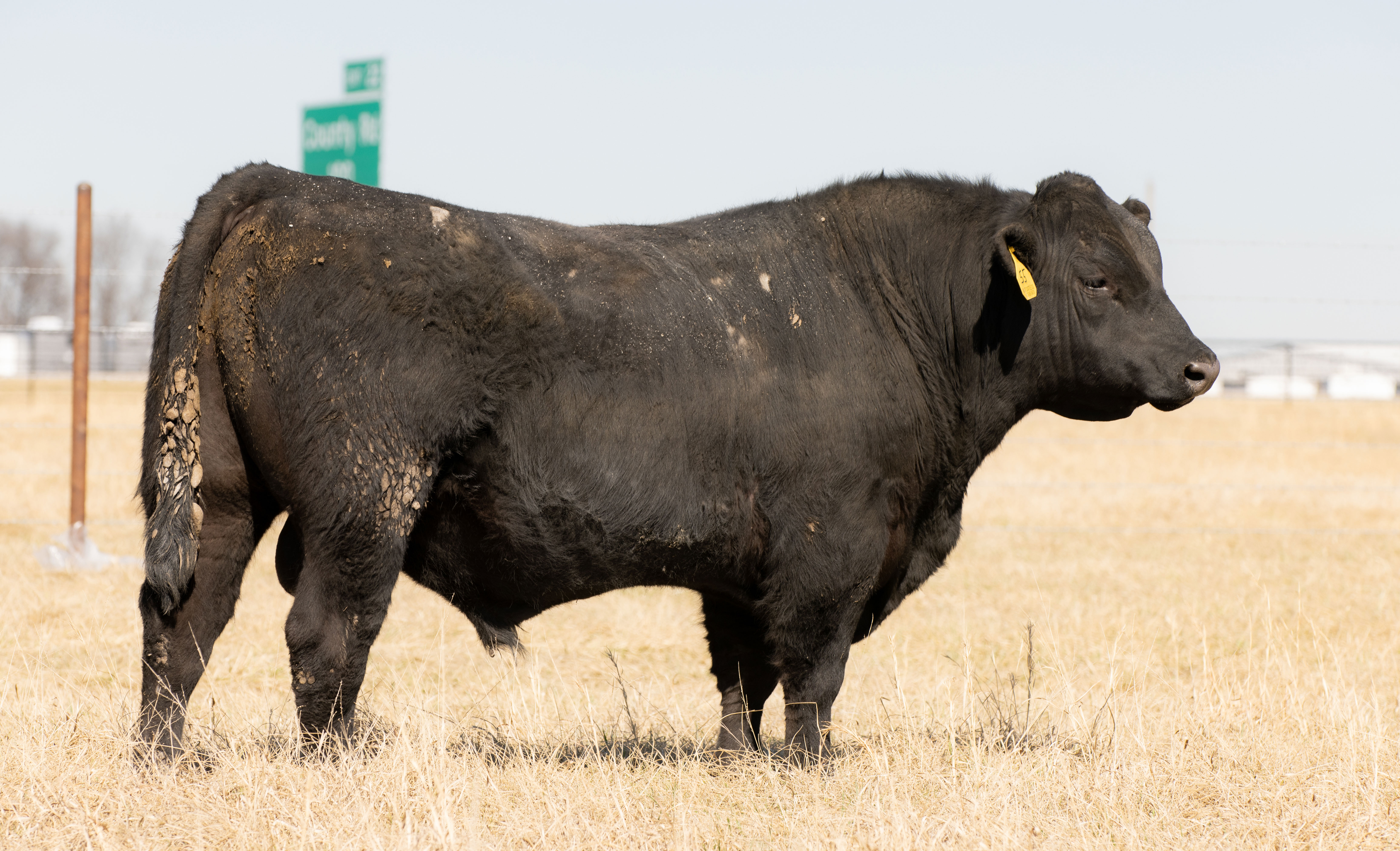 Cattle Range Listing Photo