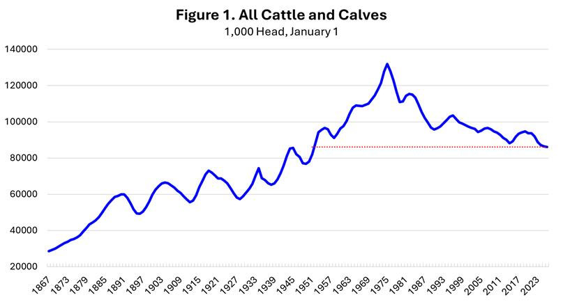 Cattle Cycle Expansions: Lessons from History