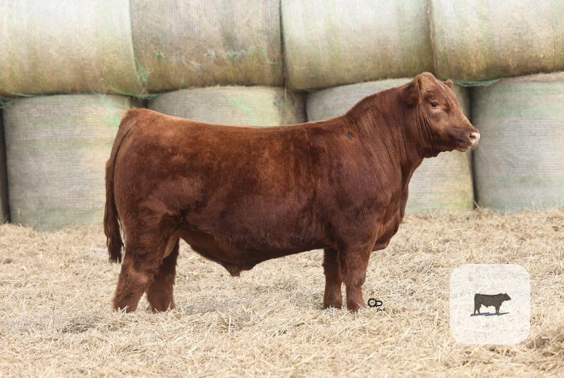 Cattle Range Listing Photo