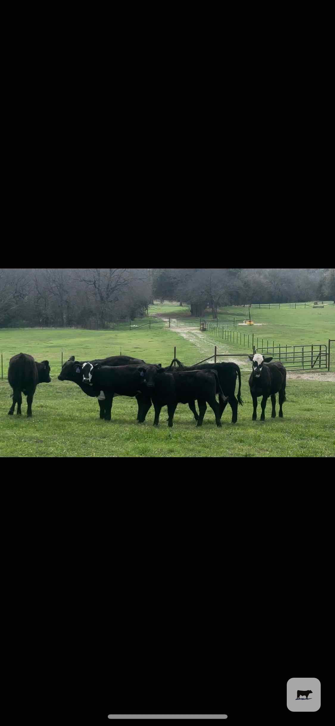 Cattle Range Listing Photo