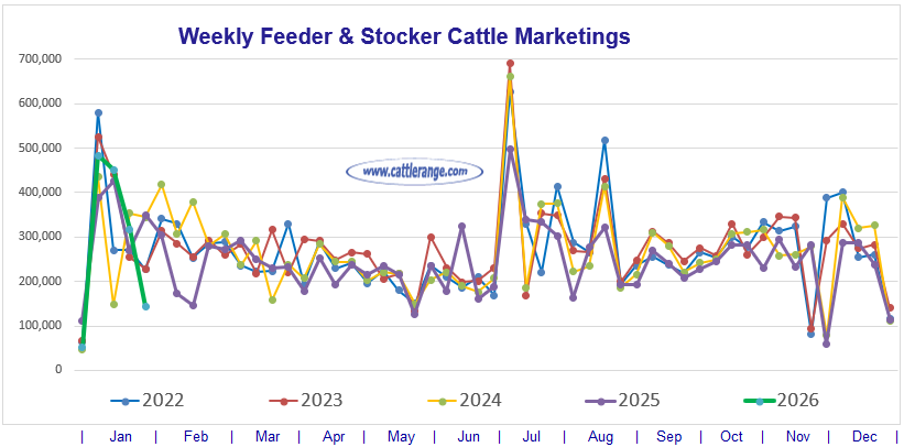 Feeder & Stocker Cattle Marketings for the week ending 1/31/26