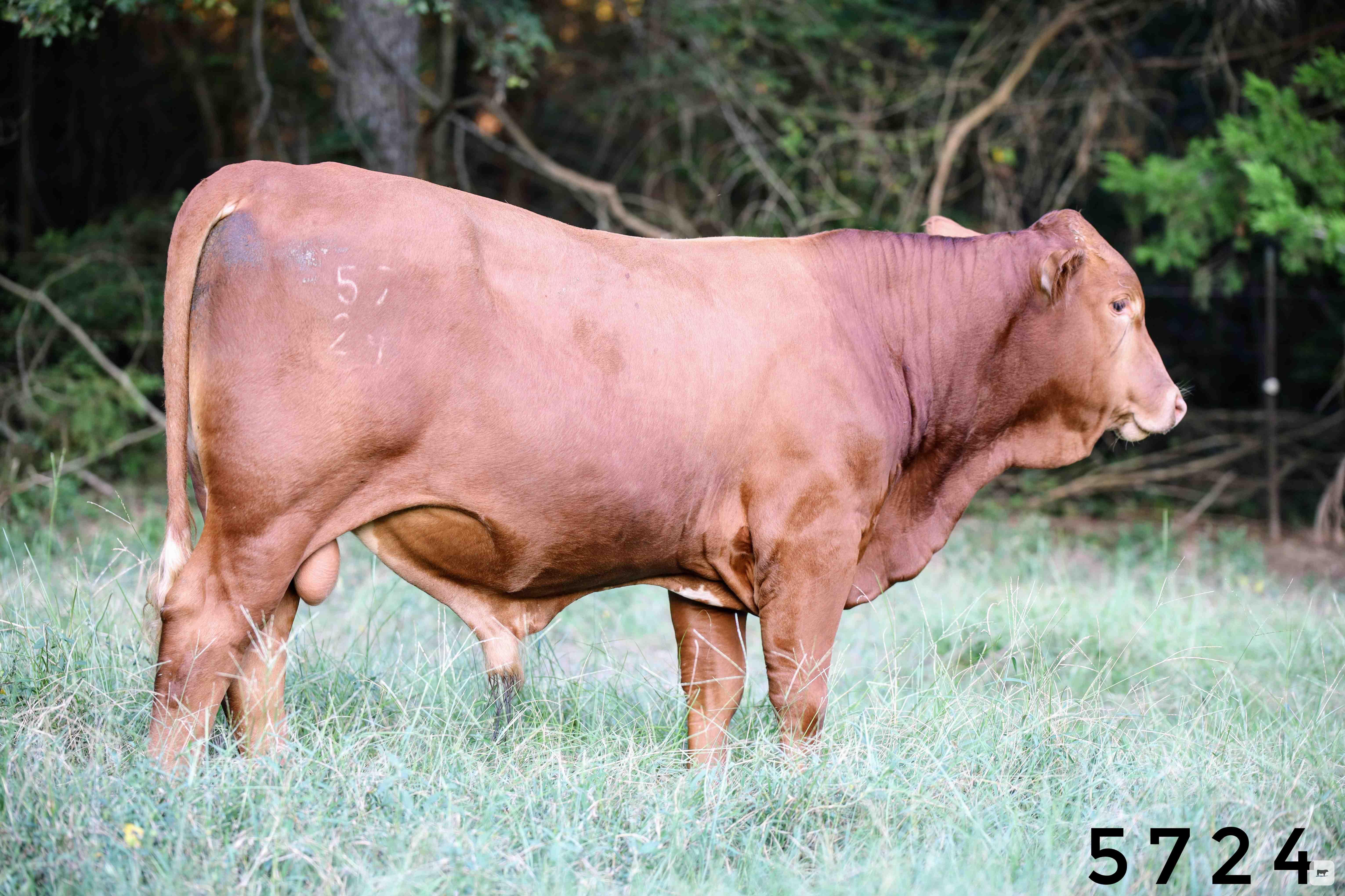 Cattle Range Listing Photo