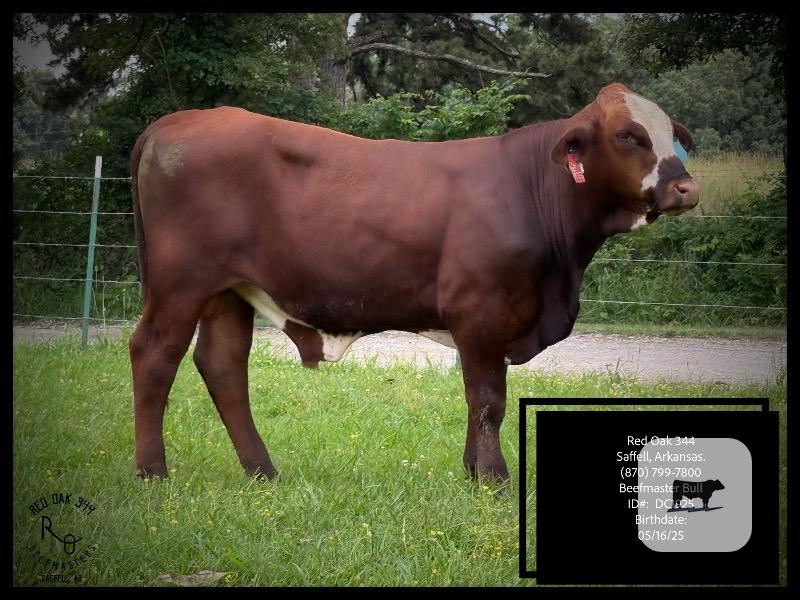 Cattle Range Listing Photo