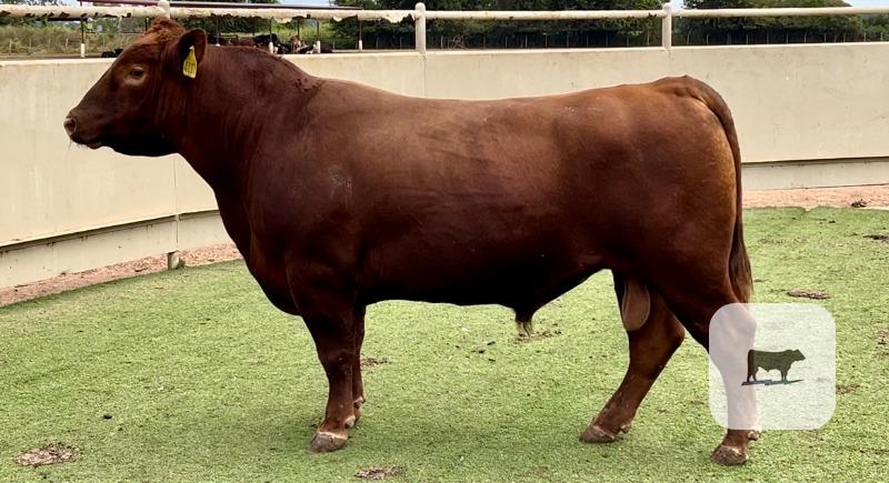 Cattle Range Listing Photo