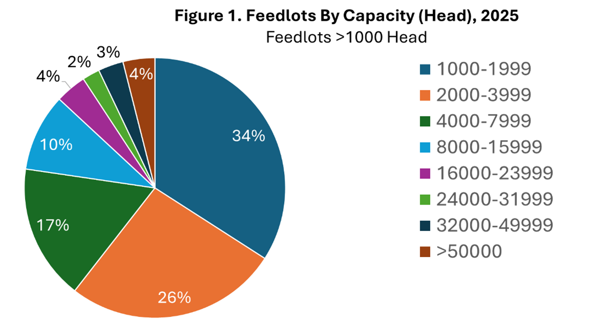 A Snapshot of the Cattle Feeding Industry