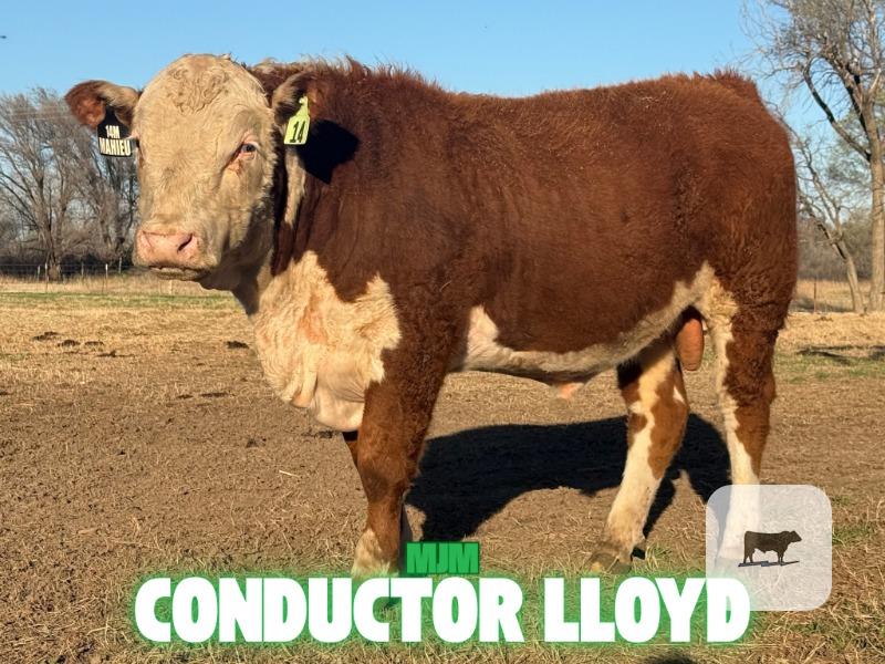 Cattle Range Listing Photo