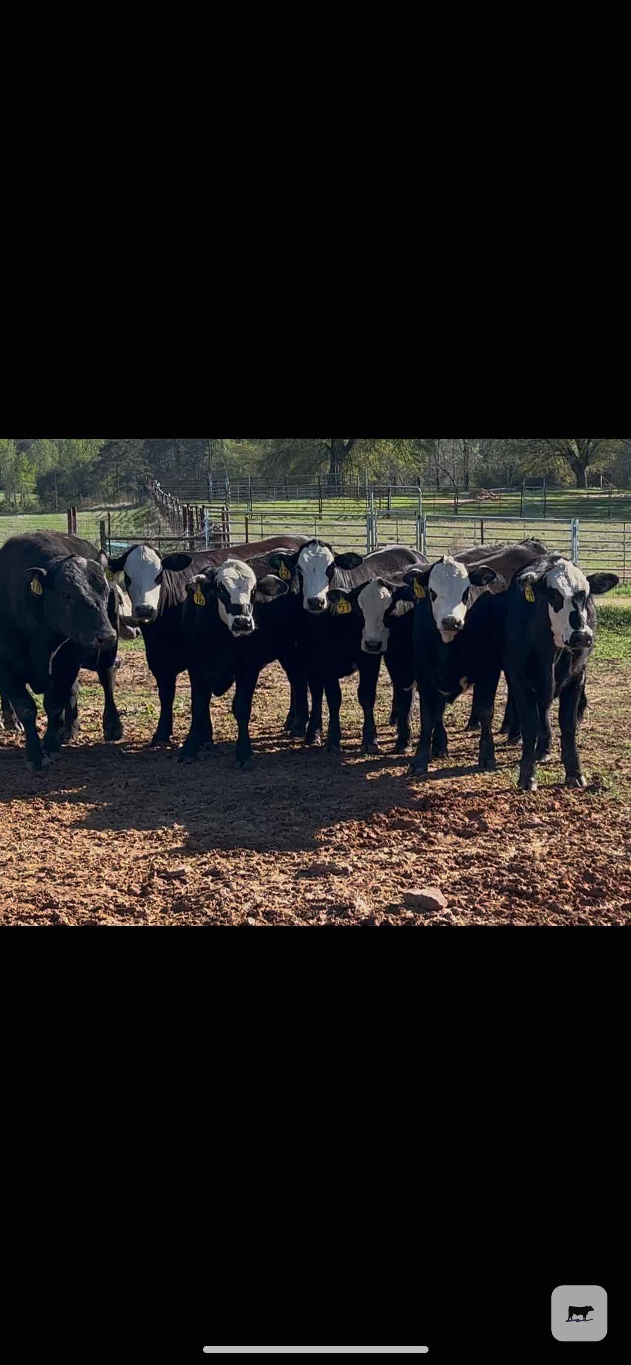 Cattle Range Listing Photo