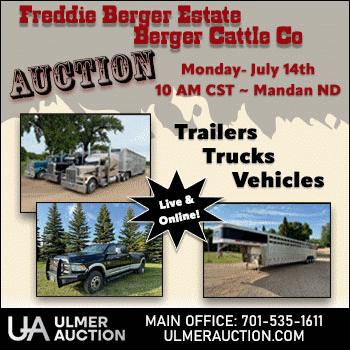 Ulmer Auction- Freddie Berger Estate Auction