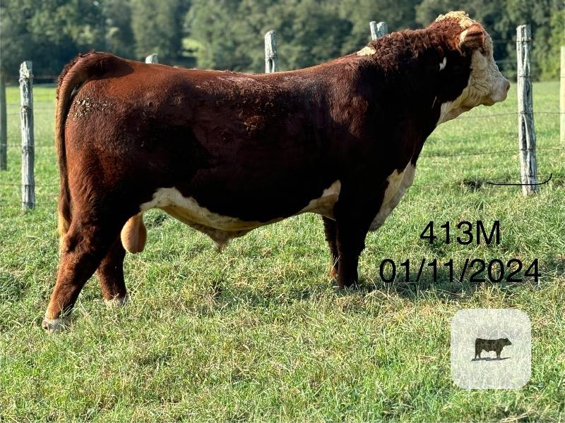 Cattle Range Listing Photo