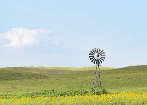 Pasture & Range Conditions as of 7/6/25