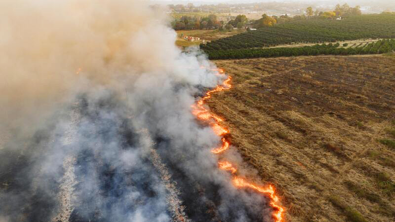 Nebraska Sandhills Rancher Fire Relief Fund