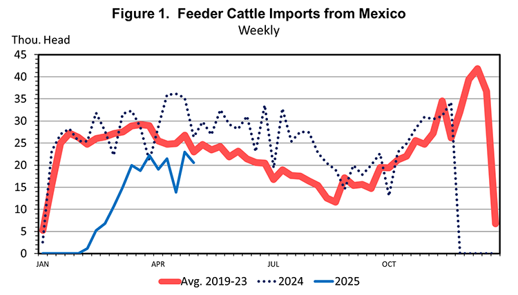 Mexican Border Closes Again