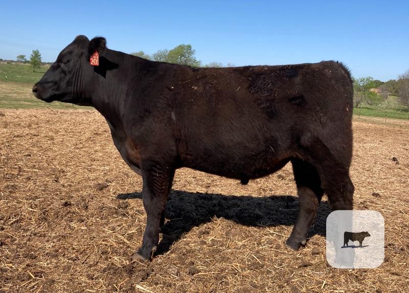 Cattle Range Listing Photo