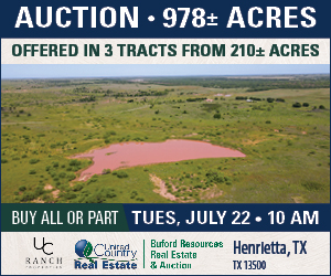 Texas Land Auction – Clay County TX