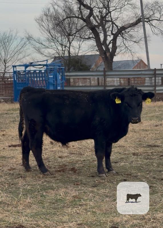 Cattle Range Listing Photo