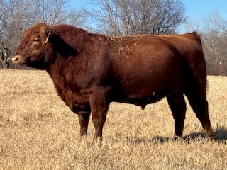 Cattle Range Listing Photo
