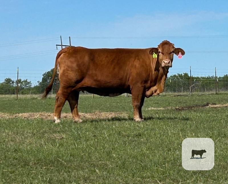 Cattle Range Listing Photo