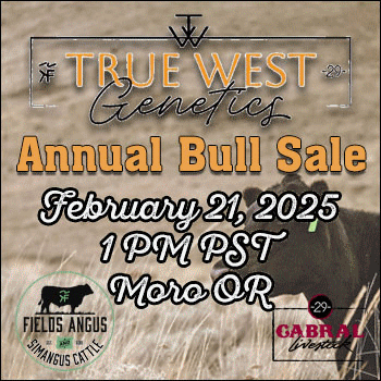 True West Genetics Annual Bull Sale
