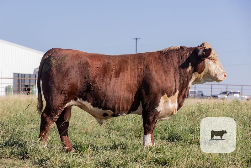 Cattle Range Listing Photo