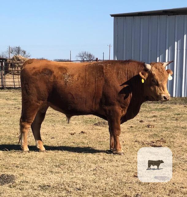 Cattle Range Listing Photo