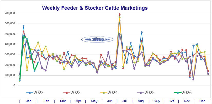 Feeder & Stocker Cattle Marketings for the week ending 2/7/26