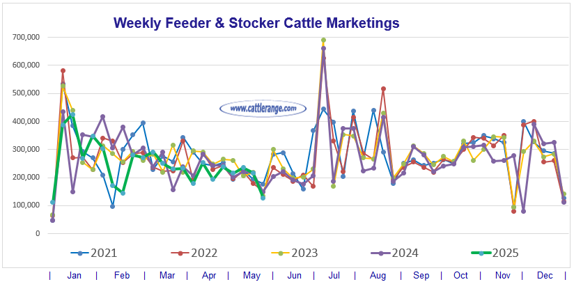 Feeder & Stocker Cattle Marketings for the week ending 5/31/25