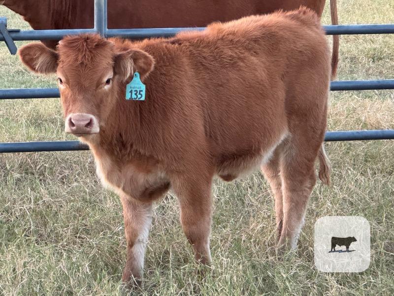 Cattle Range Listing Photo