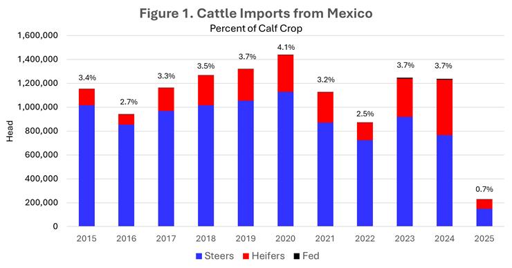 Mexican Border Basics