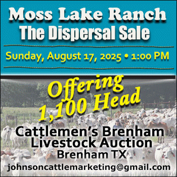 Johnson Cattle Marketing- Moss Lake Dispersal Sale (4)