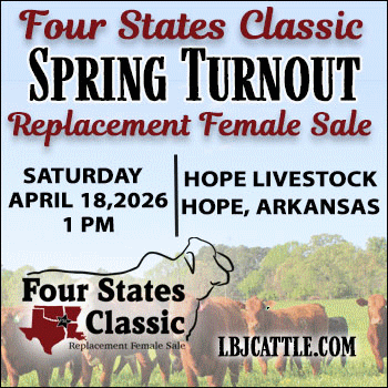 LBJ Cattle Marketing - Four States Classic Spring Turnout Replacement Female Sale
