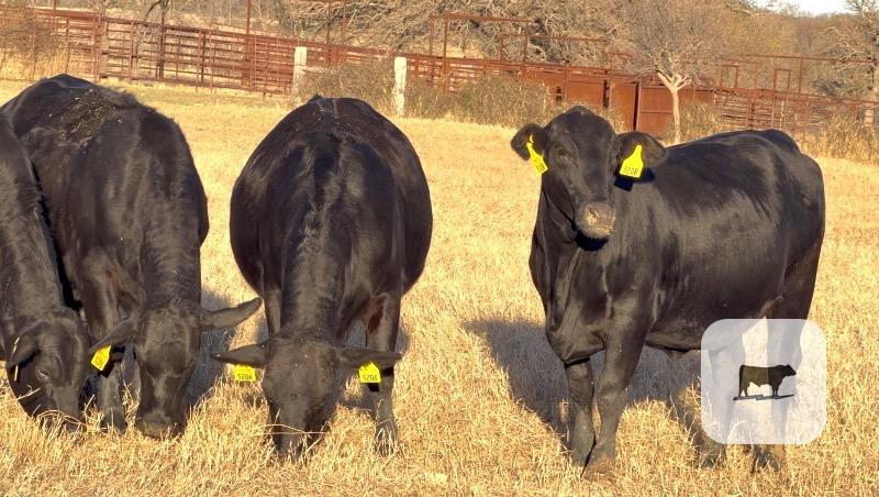 Cattle Range Listing Photo