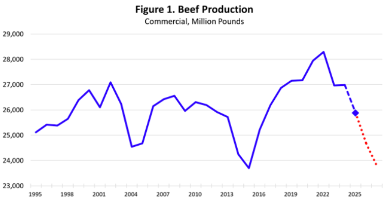 The Source of High Cattle and Beef Prices