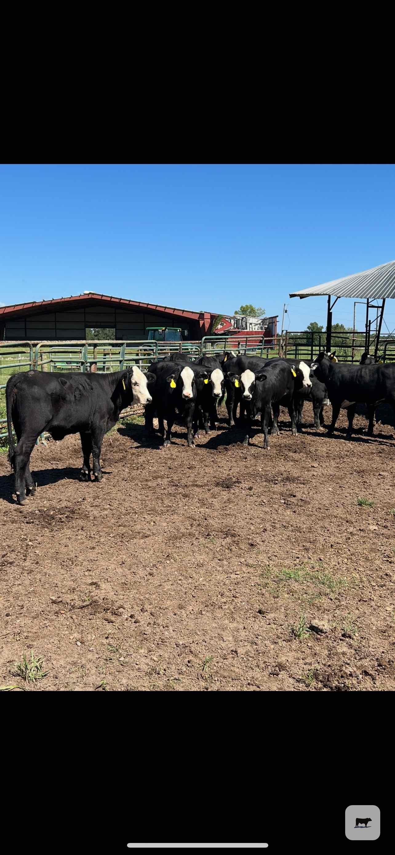 Cattle Range Listing Photo