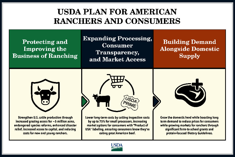 Secretary Rollins Announces Plan for American Ranchers and Consumers