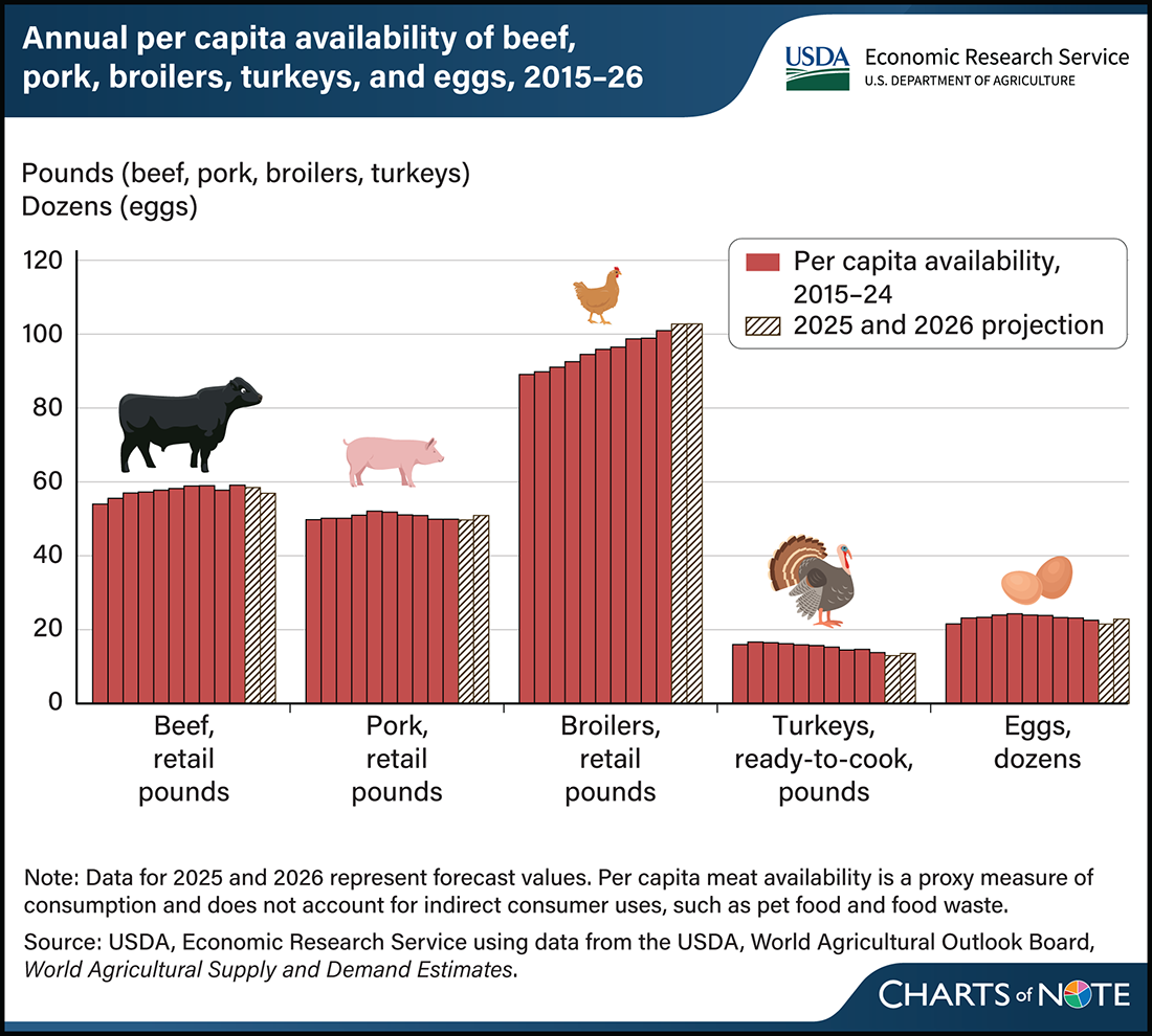 Per Capita Availability of Red Meat & Poultry projected higher in 2025 & 2026