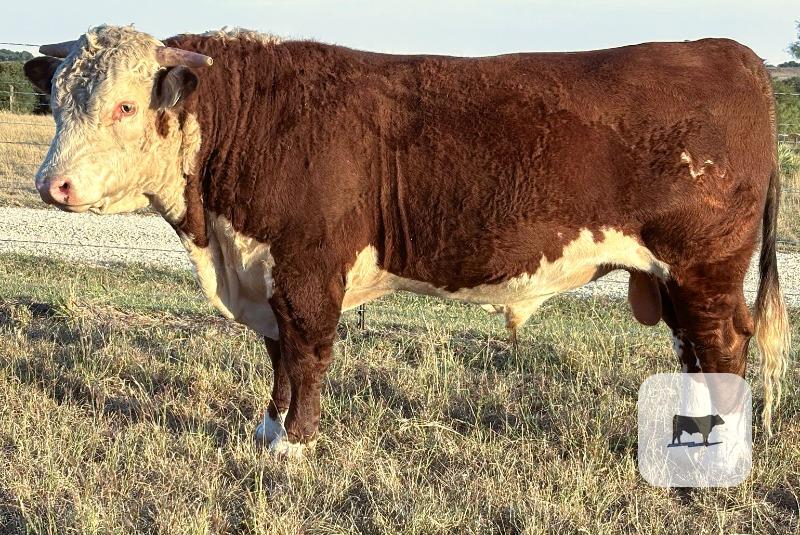 Cattle Range Listing Photo 2