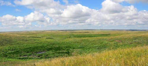 Pasture & Range Conditions as of 6/8/25