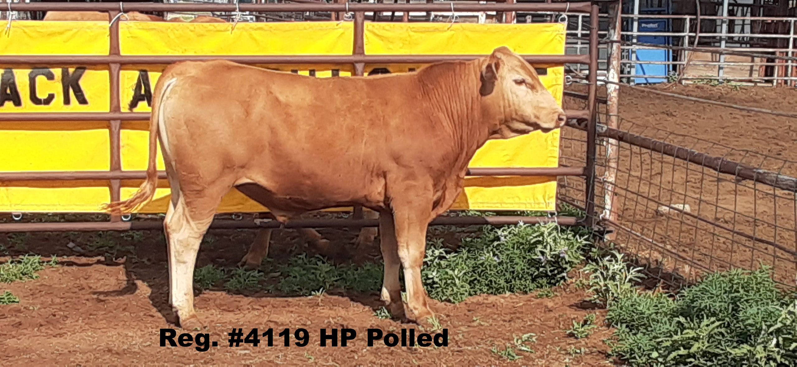 Cattle Range Listing Photo