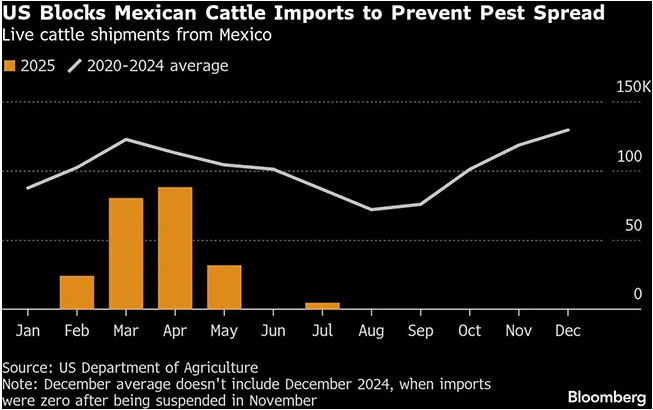 More US Beef Plants May Close as Cattle Herds Keep Tightening
