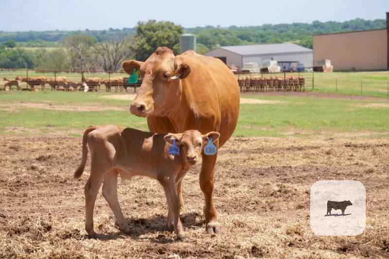 Cattle Range Listing Photo