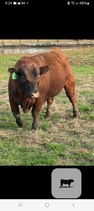 Cattle Range Listing Photo