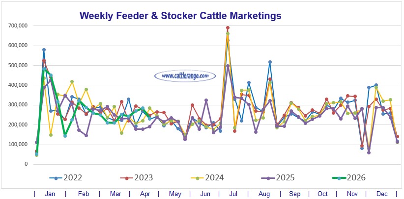 Feeder & Stocker Cattle Marketings for the week ending 4/18/26