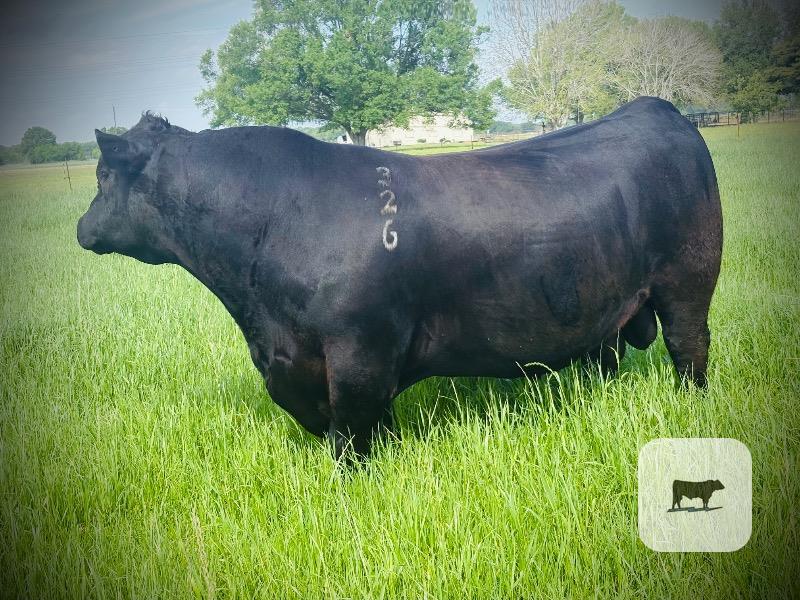 Cattle Range Listing Photo