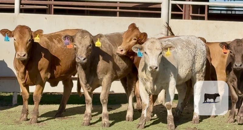 Cattle Range Listing Photo