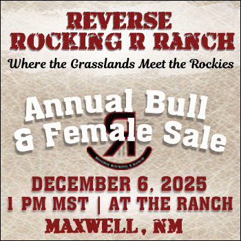 Reverse Rocking R Ranch Annual Bull & Female Sale (2)