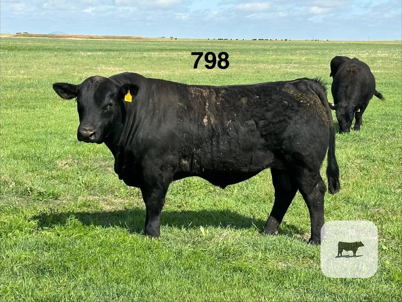 Cattle Range Listing Photo