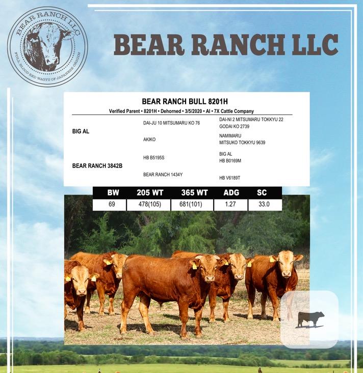 Cattle Range Listing Photo