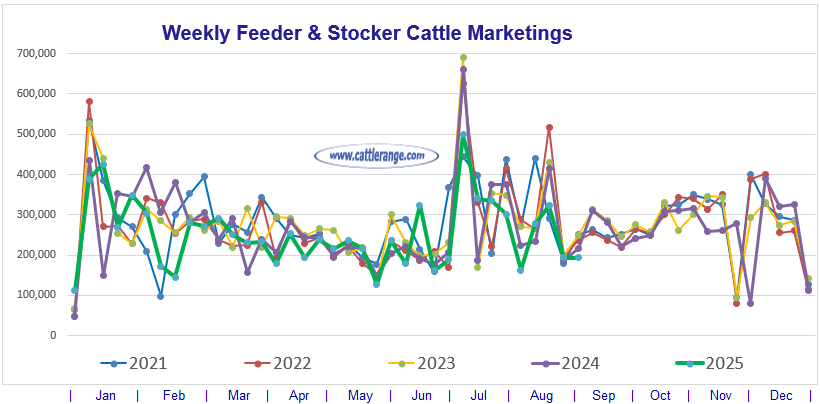 Feeder & Stocker Cattle Marketings for the week ending 9/6/25
