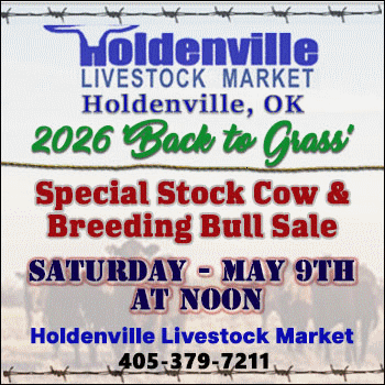 Holdenville Livestock Market ‘Back to Grass’ Special Stock Cow & Breeding Bull Sale